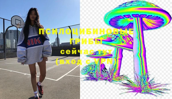 прущий лед Пестово