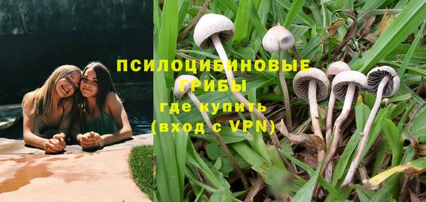 прущий лед Пестово