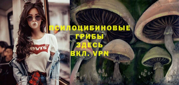 меф Семилуки