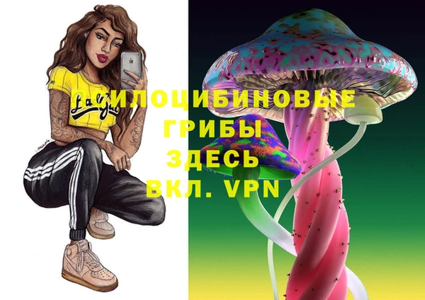 героин Пересвет