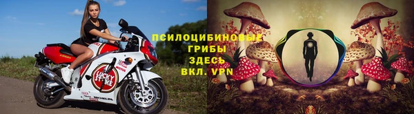 героин Пересвет