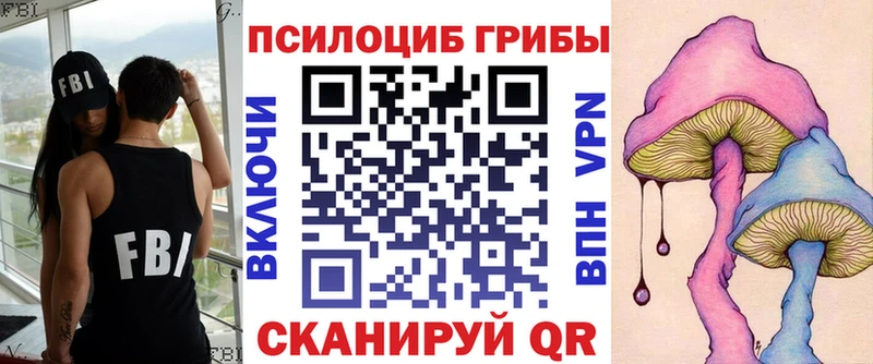 Псилоцибиновые грибы ЛСД  наркотики  Кремёнки 